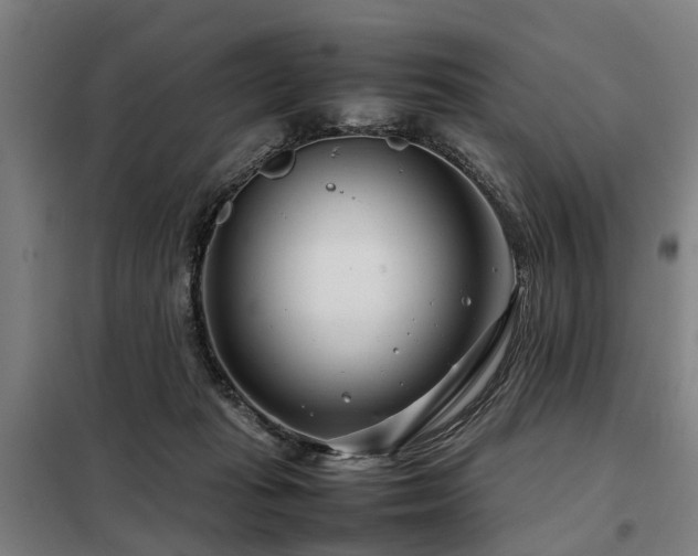 X0000098120269200804041415