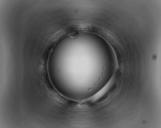 X0000098120270200804041415