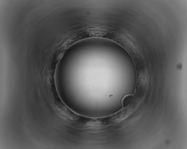 X0000098120271200804041415