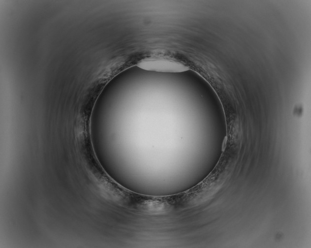 X0000098120272200804041415