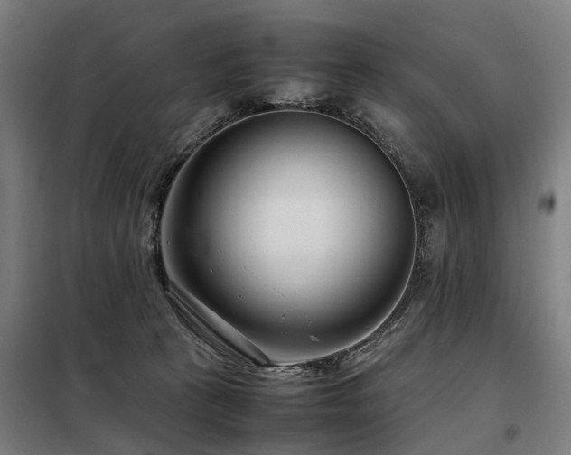 X0000098120273200804041415
