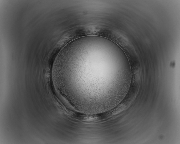 X0000098120274200804041415