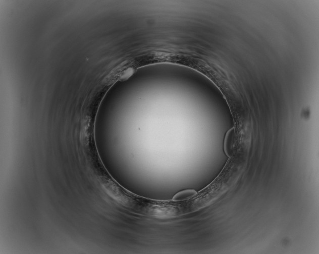 X0000098120275200804041415