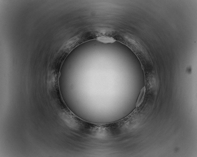 X0000098120276200804041415