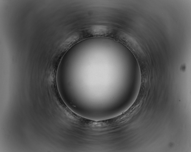 X0000098120277200804041415