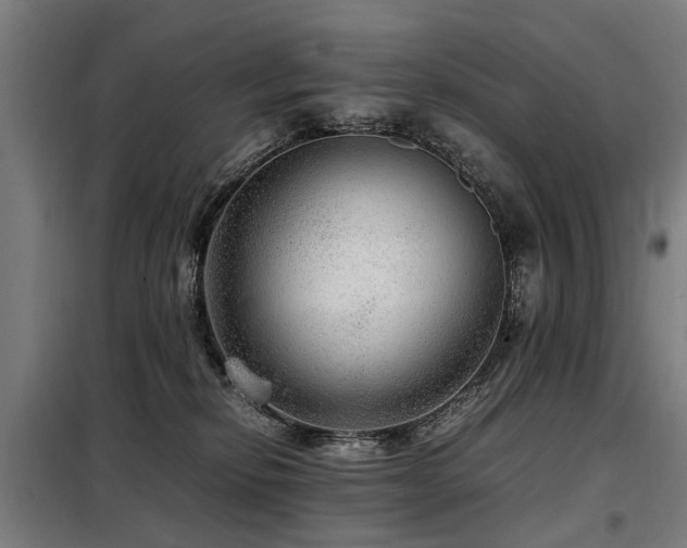 X0000098120278200804041415