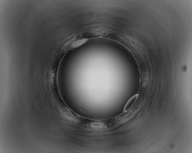 X0000098120279200804041415