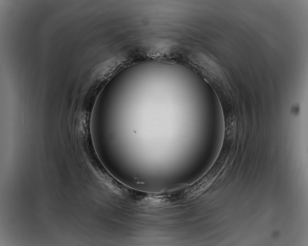 X0000098120280200804041415
