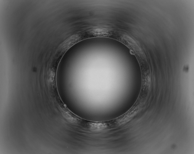 X0000098120281200804041415