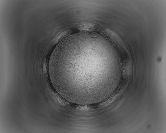 X0000098120282200804041415