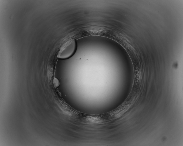 X0000098120283200804041415
