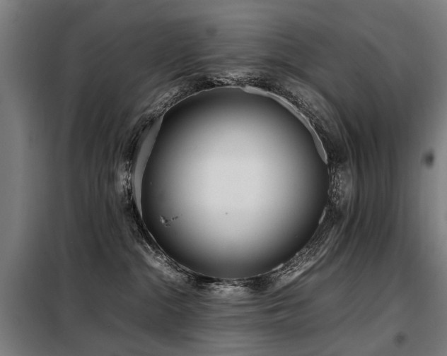 X0000098120284200804041415