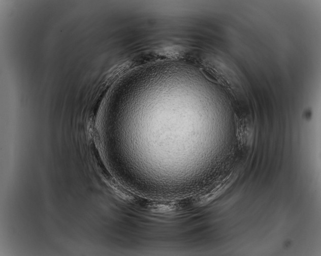 X0000098120285200804041415