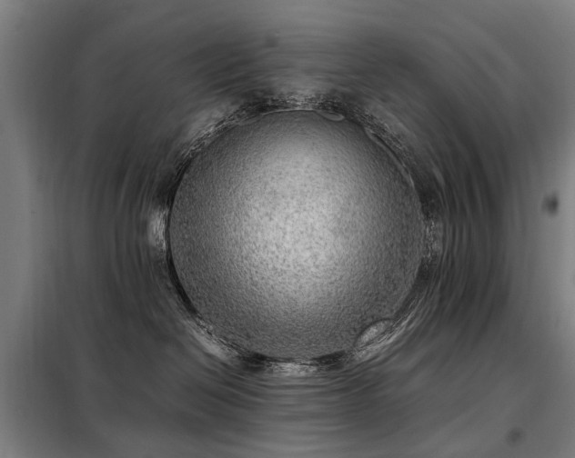 X0000098120286200804041415