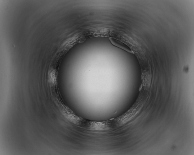 X0000098120287200804041415