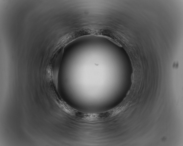 X0000098120288200804041415