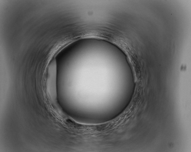 X0000098120289200804041414