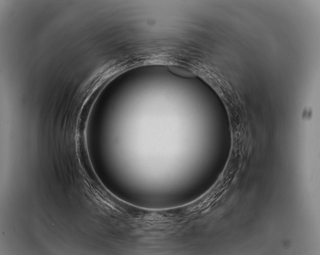 X0000098120290200804041414