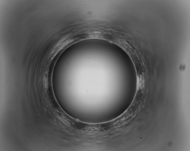 X0000098120291200804041414