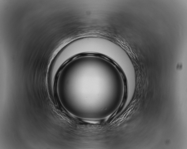X0000098120292200804041414