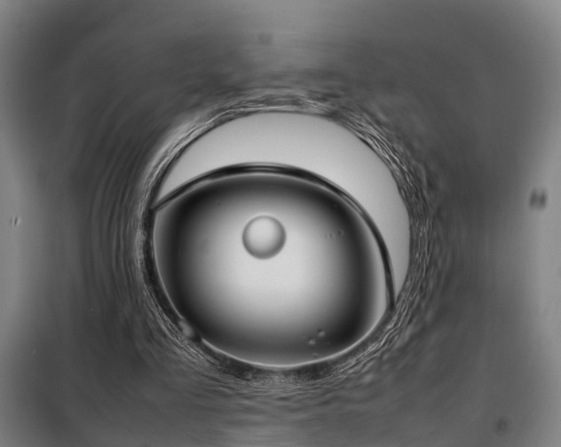 X0000098120293200804041414