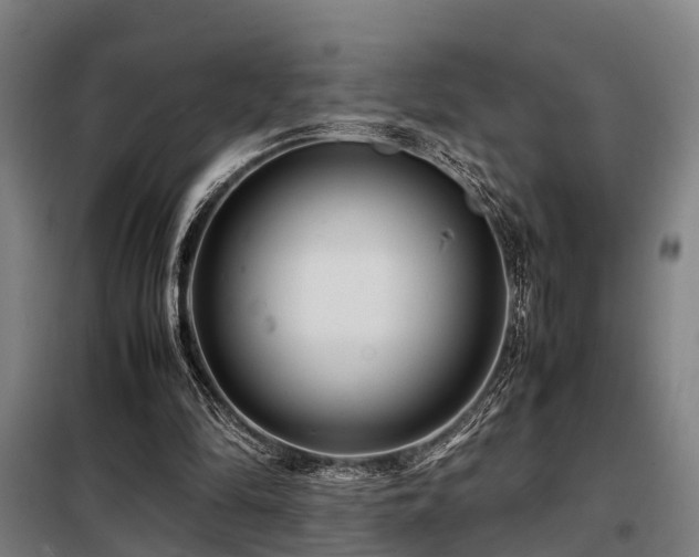 X0000098120294200804041414