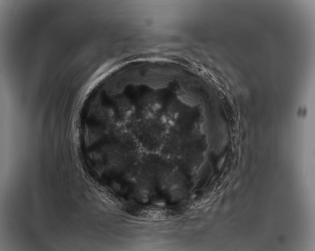 X0000098120295200804041414