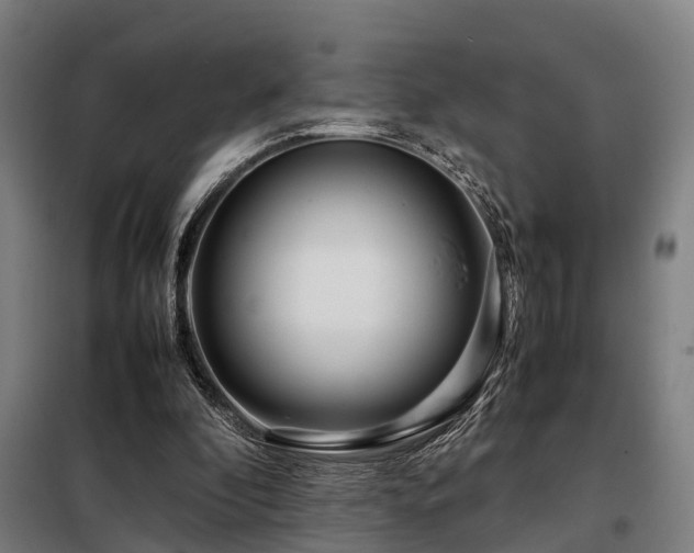 X0000098120296200804041414