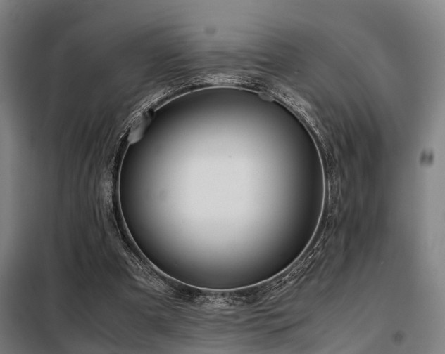 X0000098120297200804041414