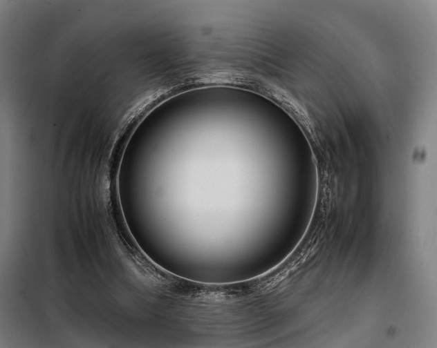 X0000098120298200804041414