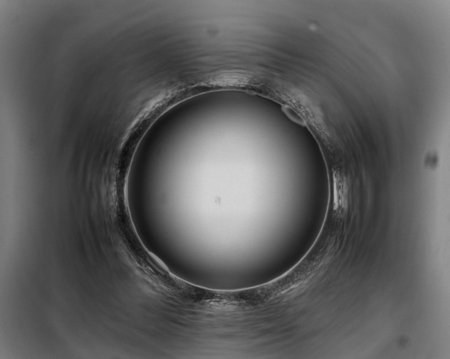 X0000098120300200804041414