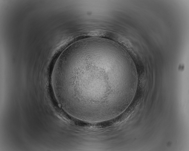 X0000098120303200804041414