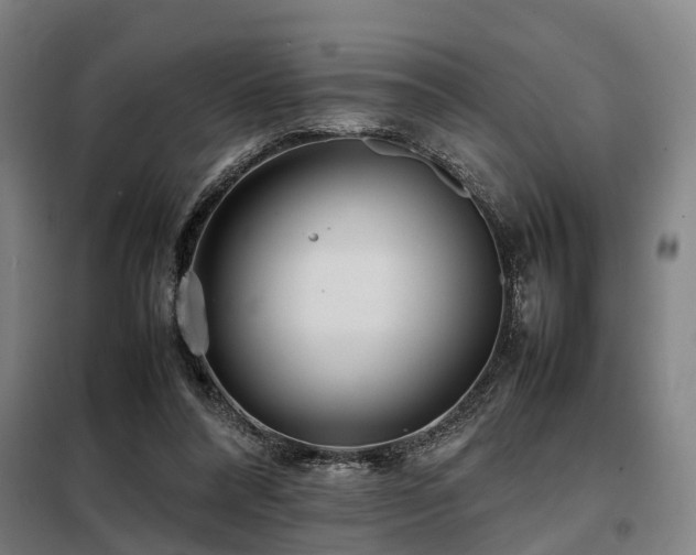X0000098120304200804041414