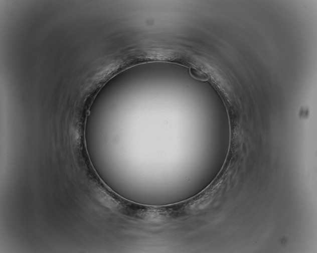 X0000098120305200804041414