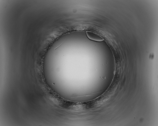 X0000098120307200804041414