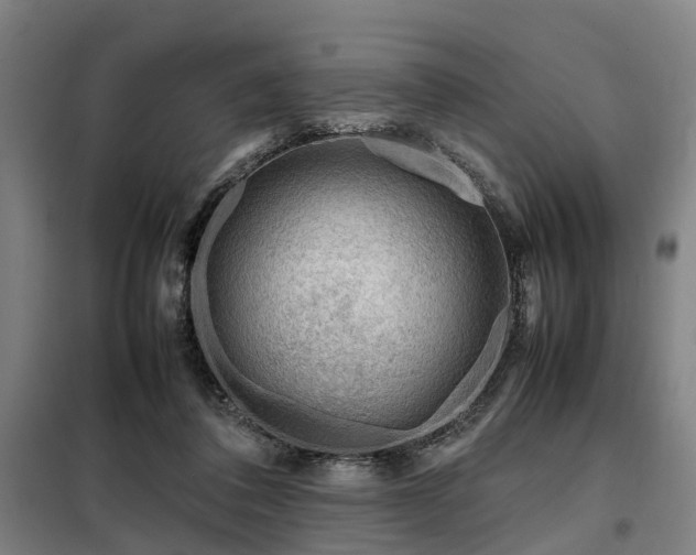 X0000098120308200804041414