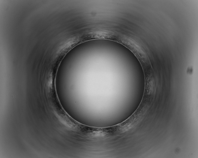X0000098120310200804041414