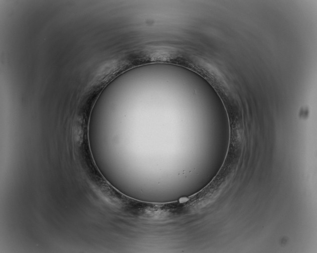 X0000098120311200804041414