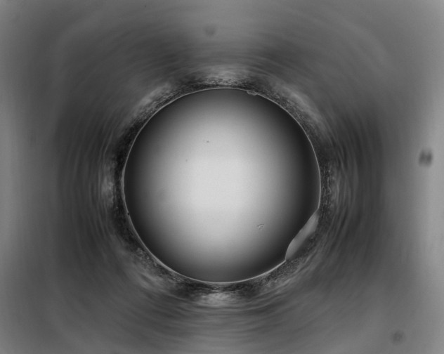 X0000098120312200804041414