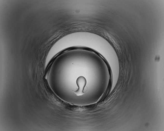 X0000098120313200804041414