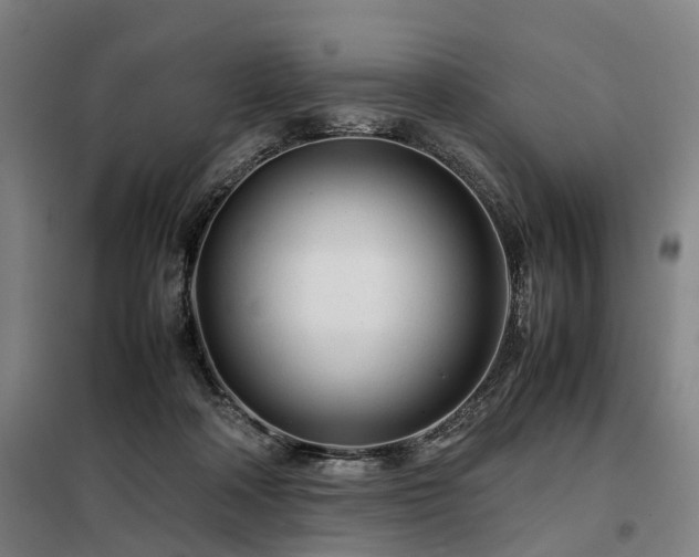 X0000098120314200804041414