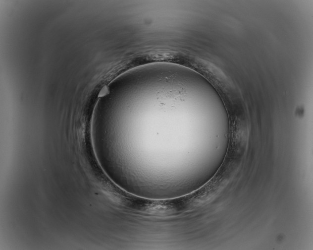 X0000098120315200804041414