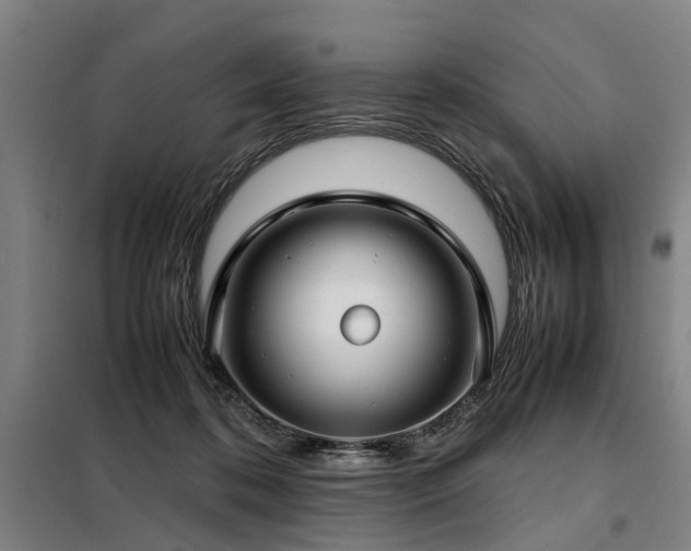 X0000098120316200804041414