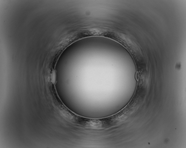 X0000098120317200804041414