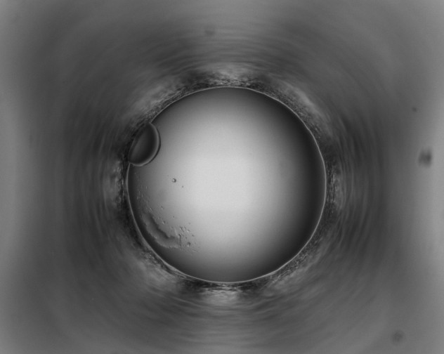 X0000098120318200804041414