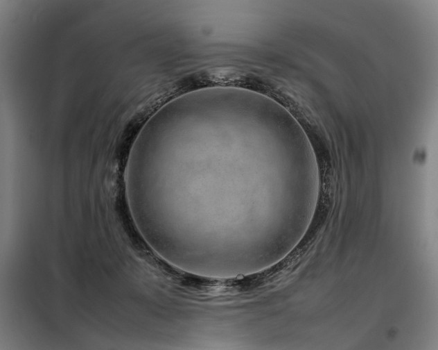 X0000098120319200804041414