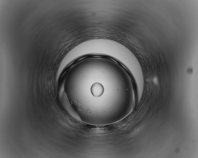 X0000098120320200804041414