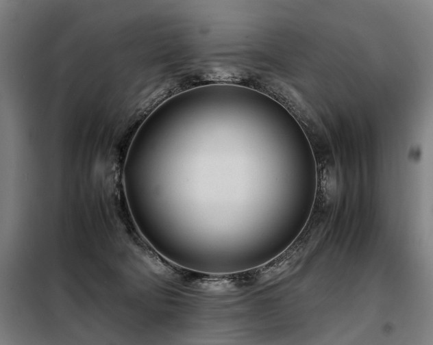 X0000098120322200804041414