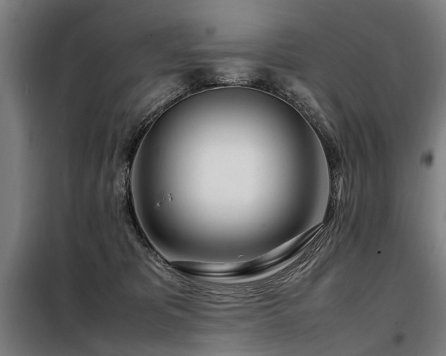 X0000098120325200804041414