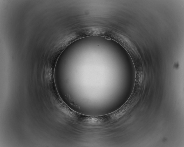 X0000098120326200804041414